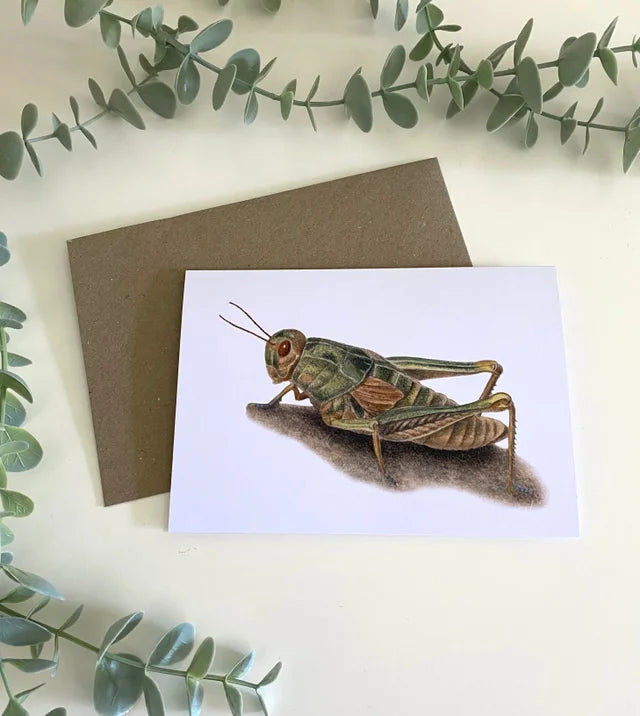 Perunga Grasshopper Greeting Card
