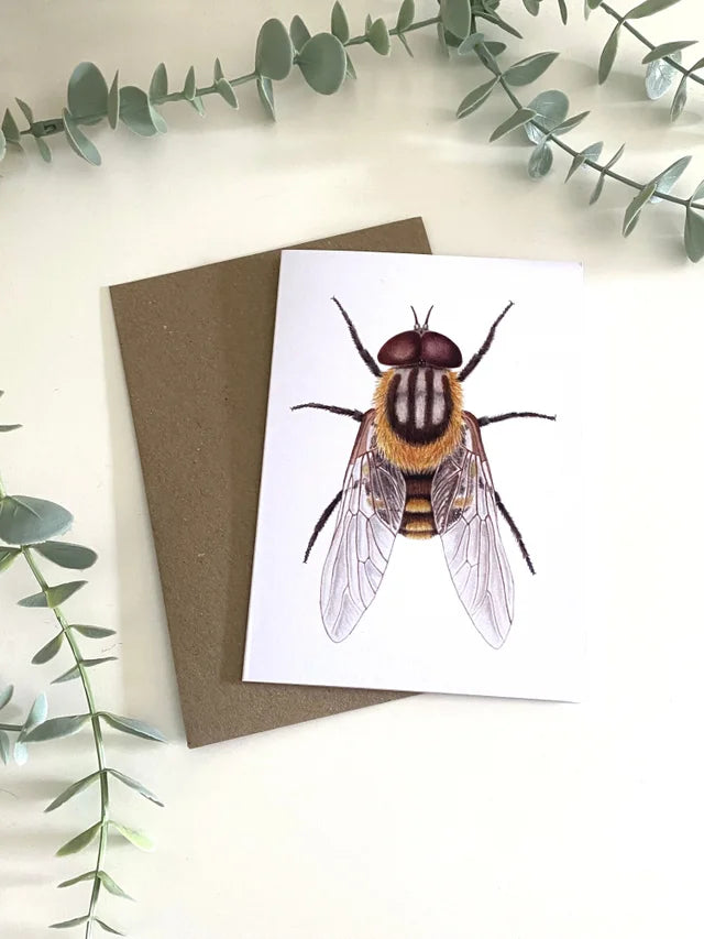Horse Fly Greeting Card