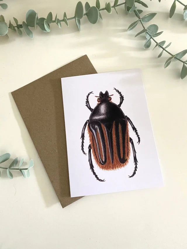 Hairy Flower Beetle Greeting Card