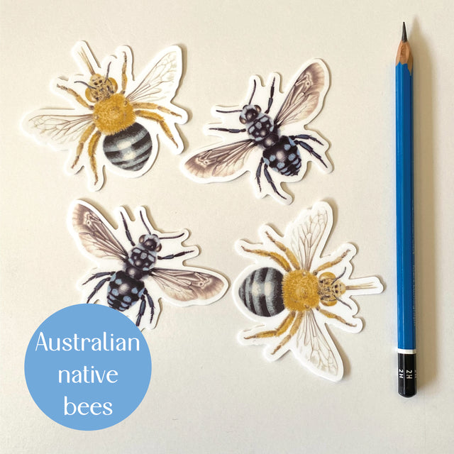 Australian native bee stickers - 4 stickers