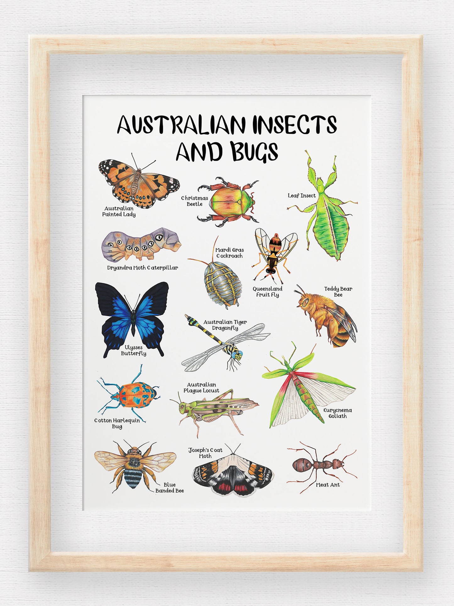 Australian Insects and Bugs Poster