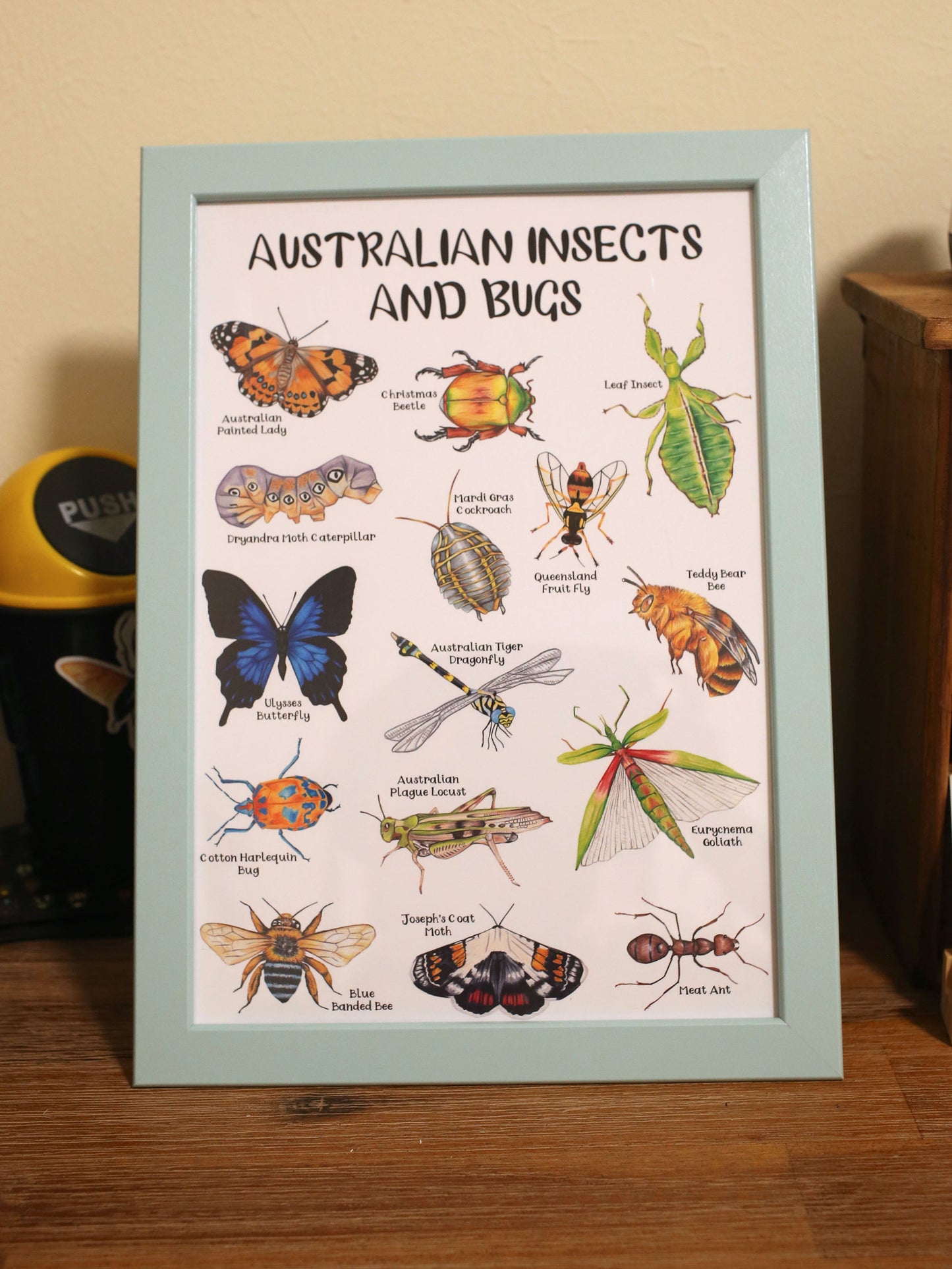 Australian Insects and Bugs Poster