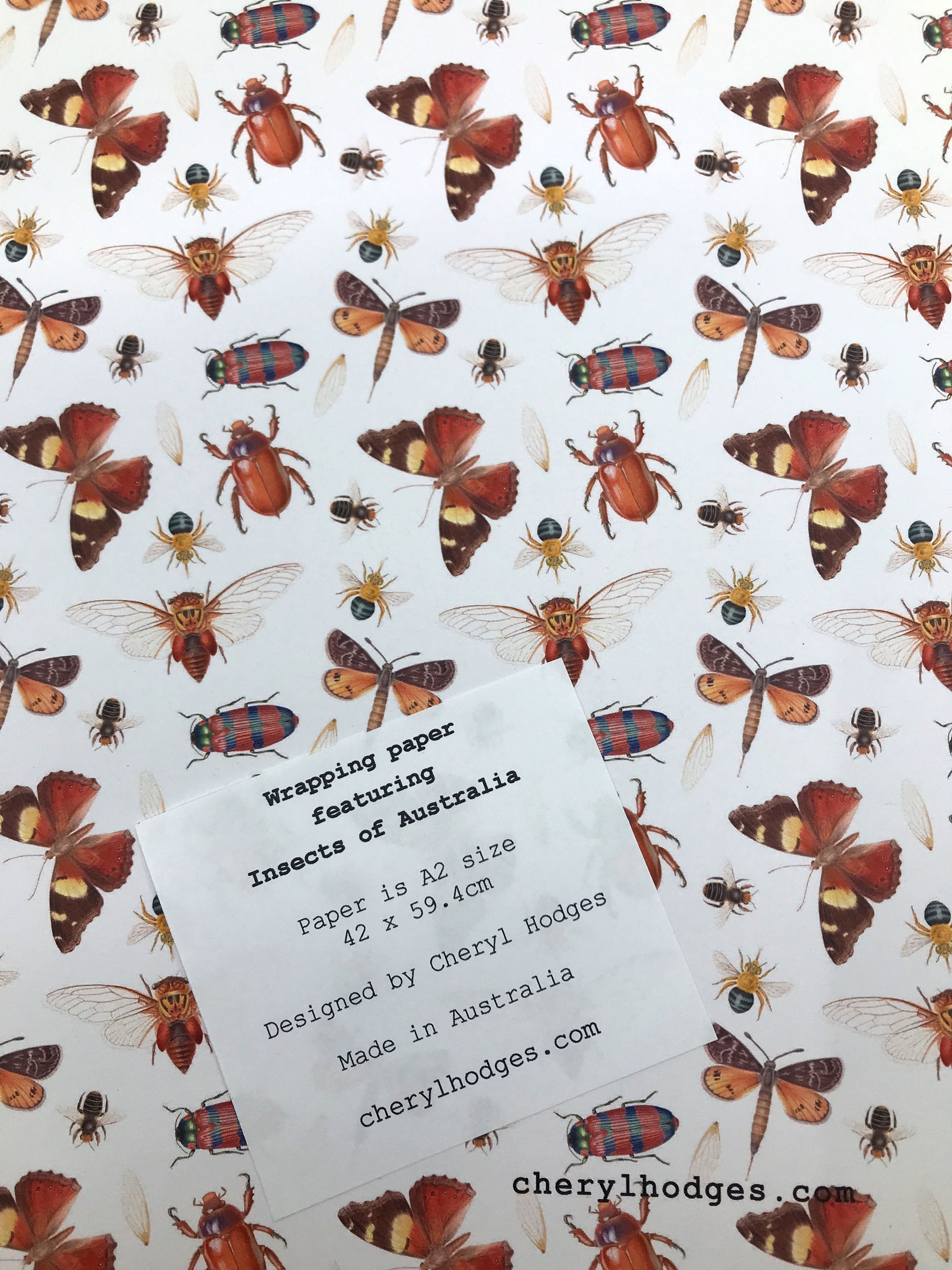 Wraps Insects Australian Insects Wrapping Paper – Bugs and Beads