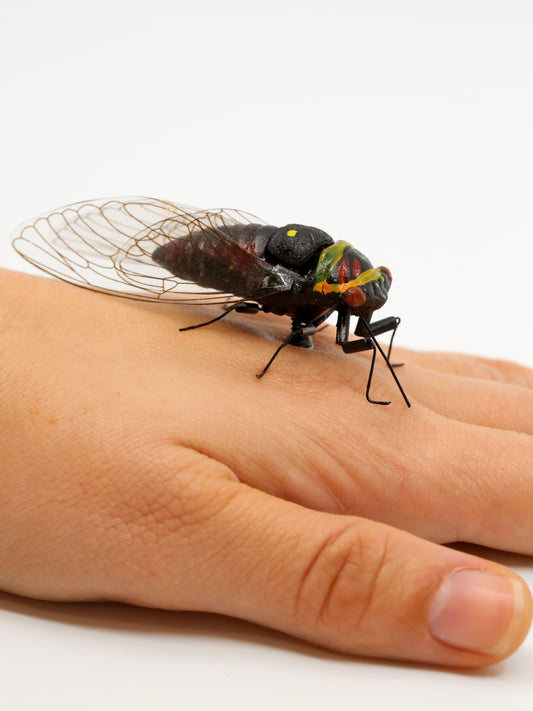 Cicada Life-Size Magnet