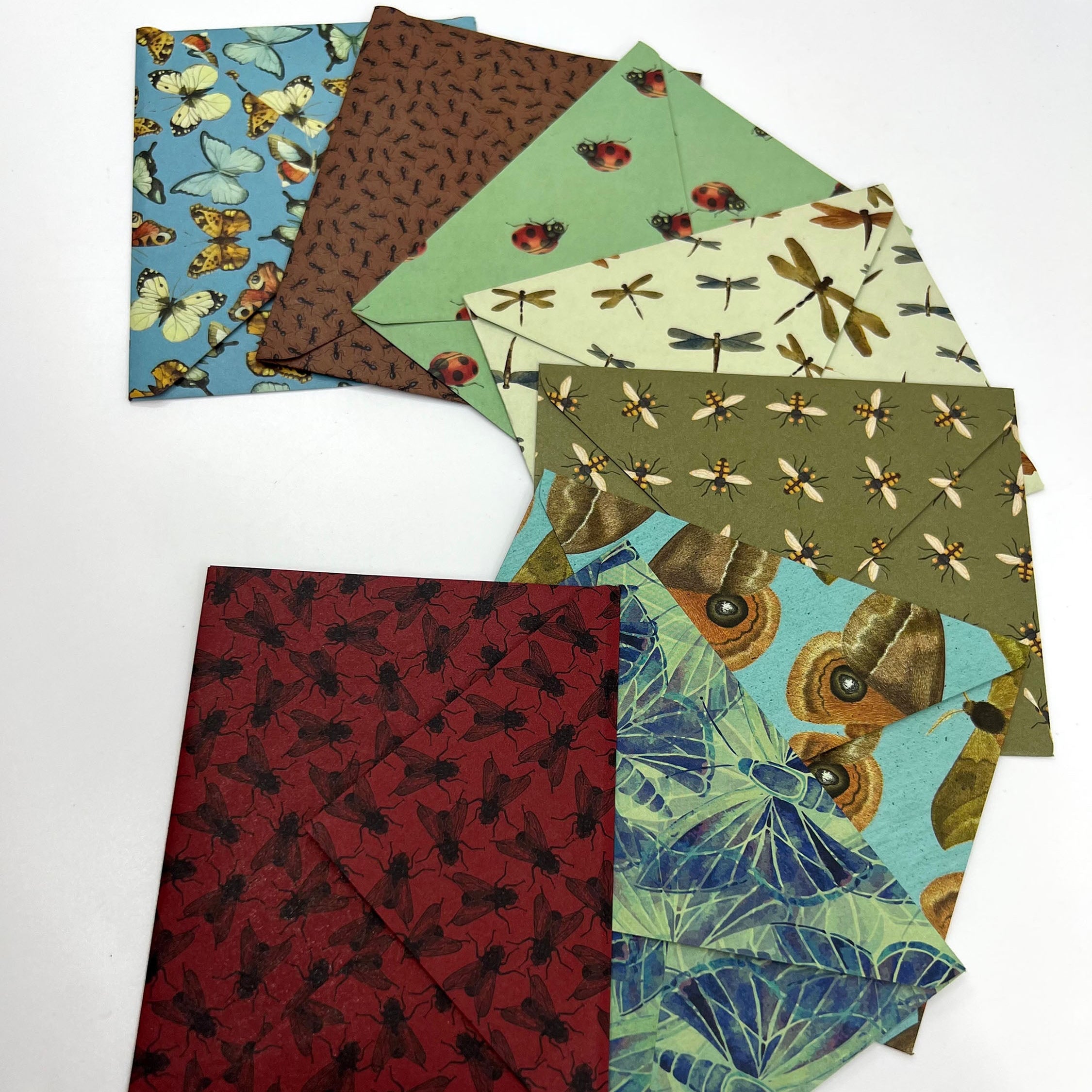 Insect Envelope with Blank Card – Bugs and Beads