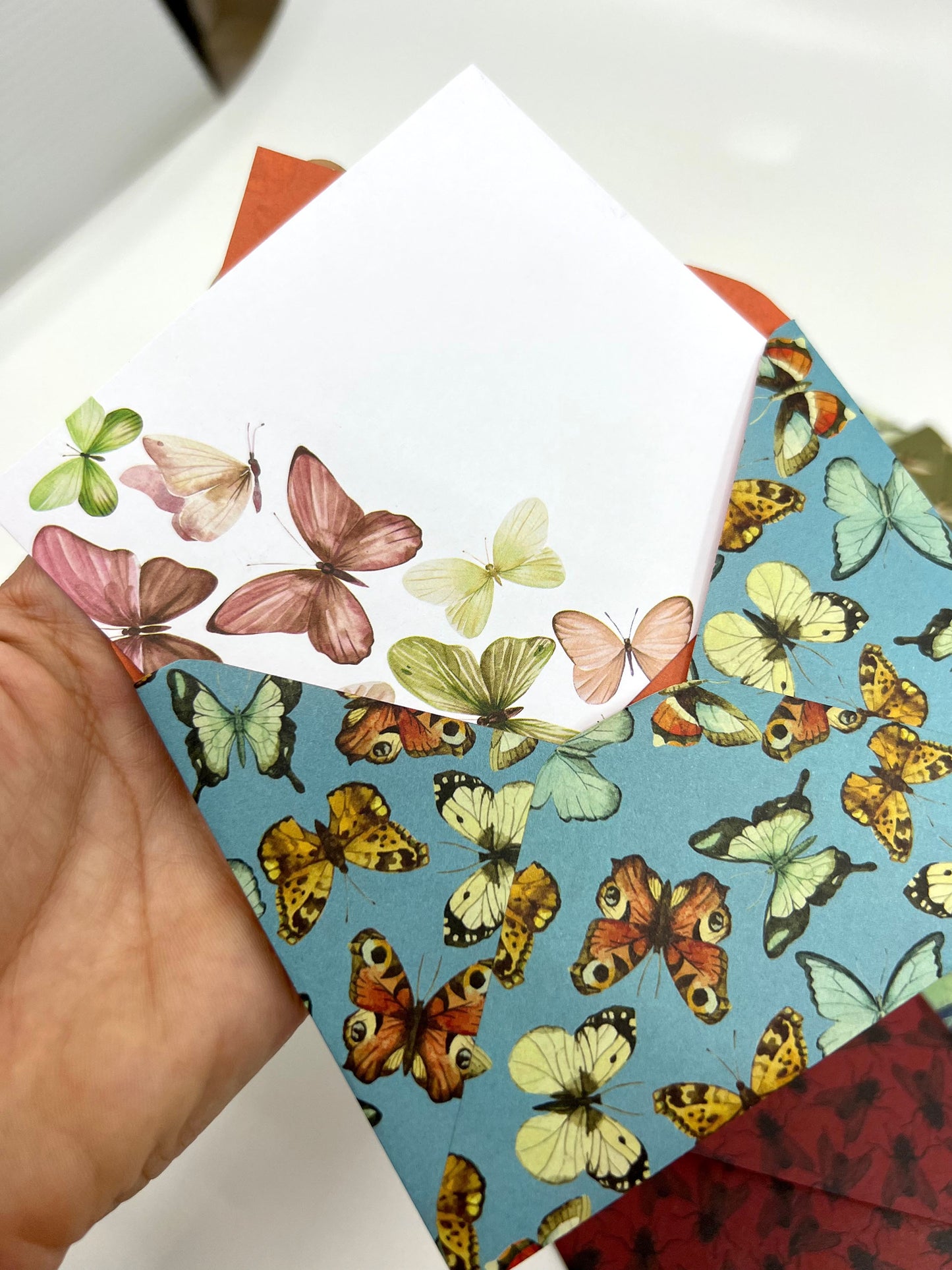 Insect Envelope with Blank Card