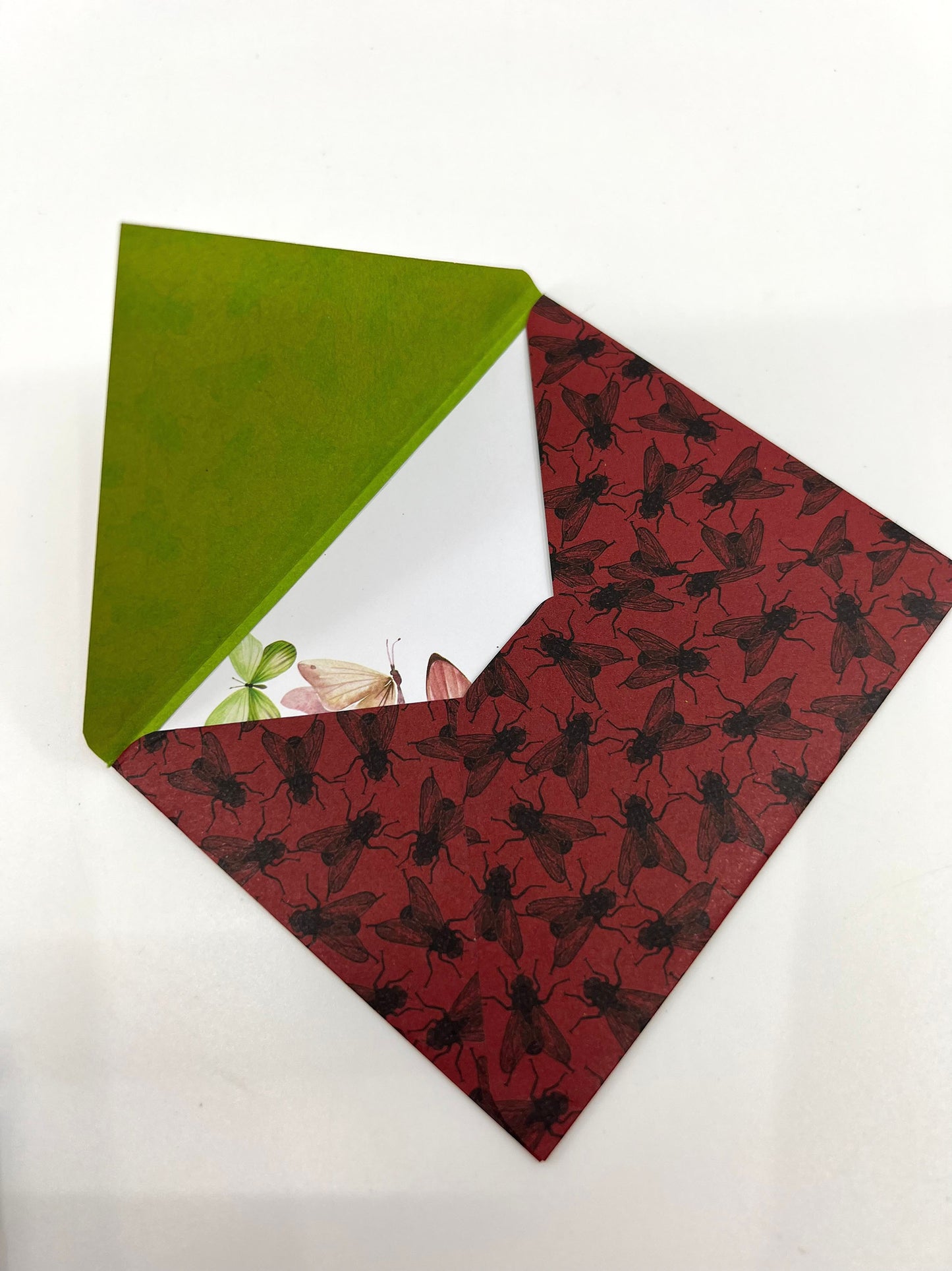 Insect Envelope with Blank Card