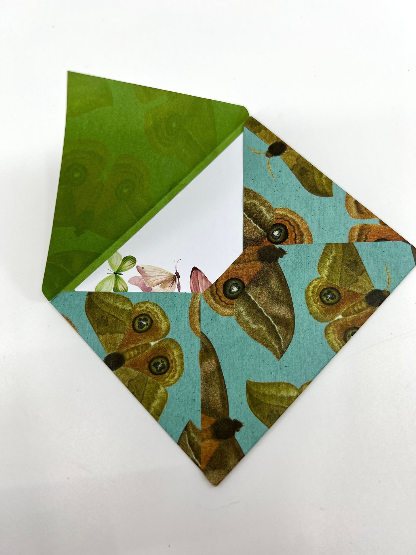 Insect Envelope with Blank Card