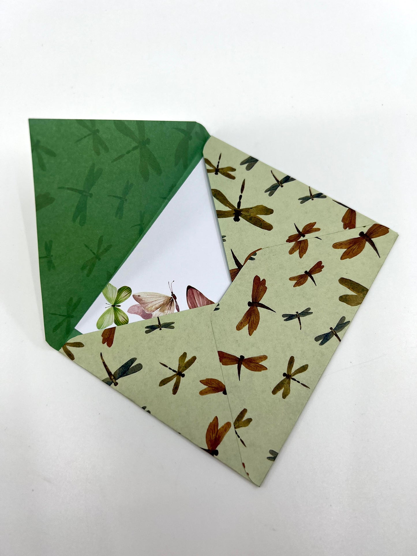 Insect Envelope with Blank Card
