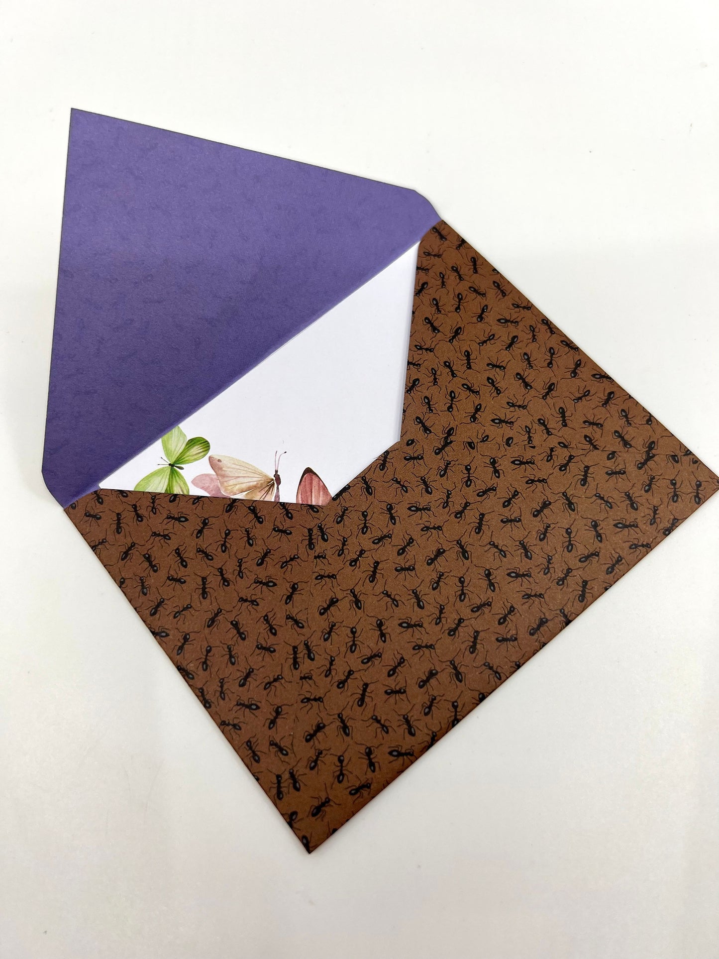 Insect Envelope with Blank Card