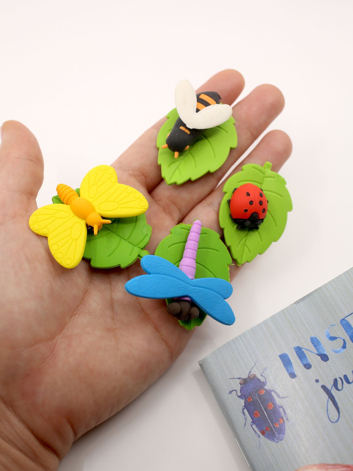 Insect Erasers Kit