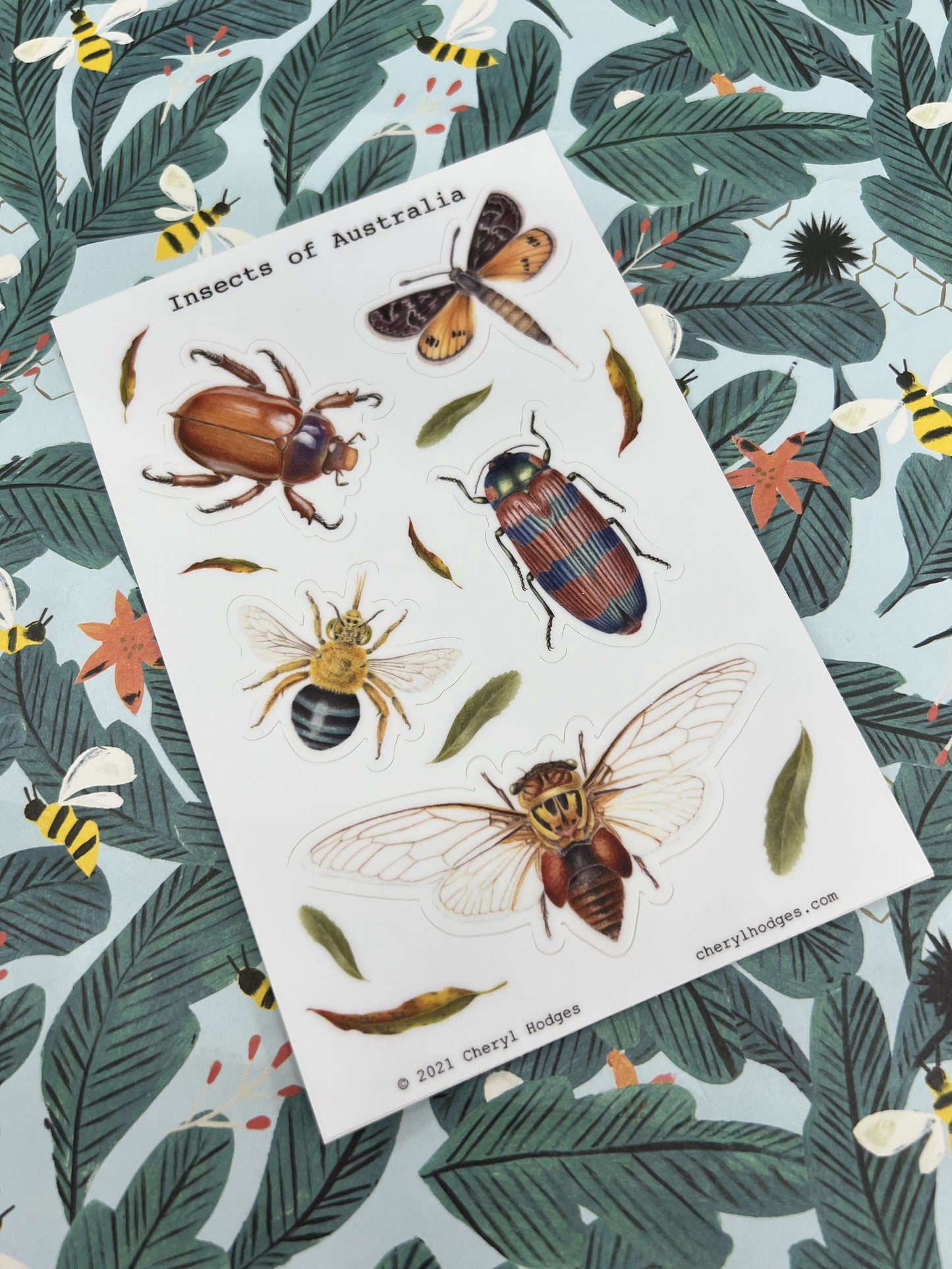 Insects of Australia - Sticker Sheet