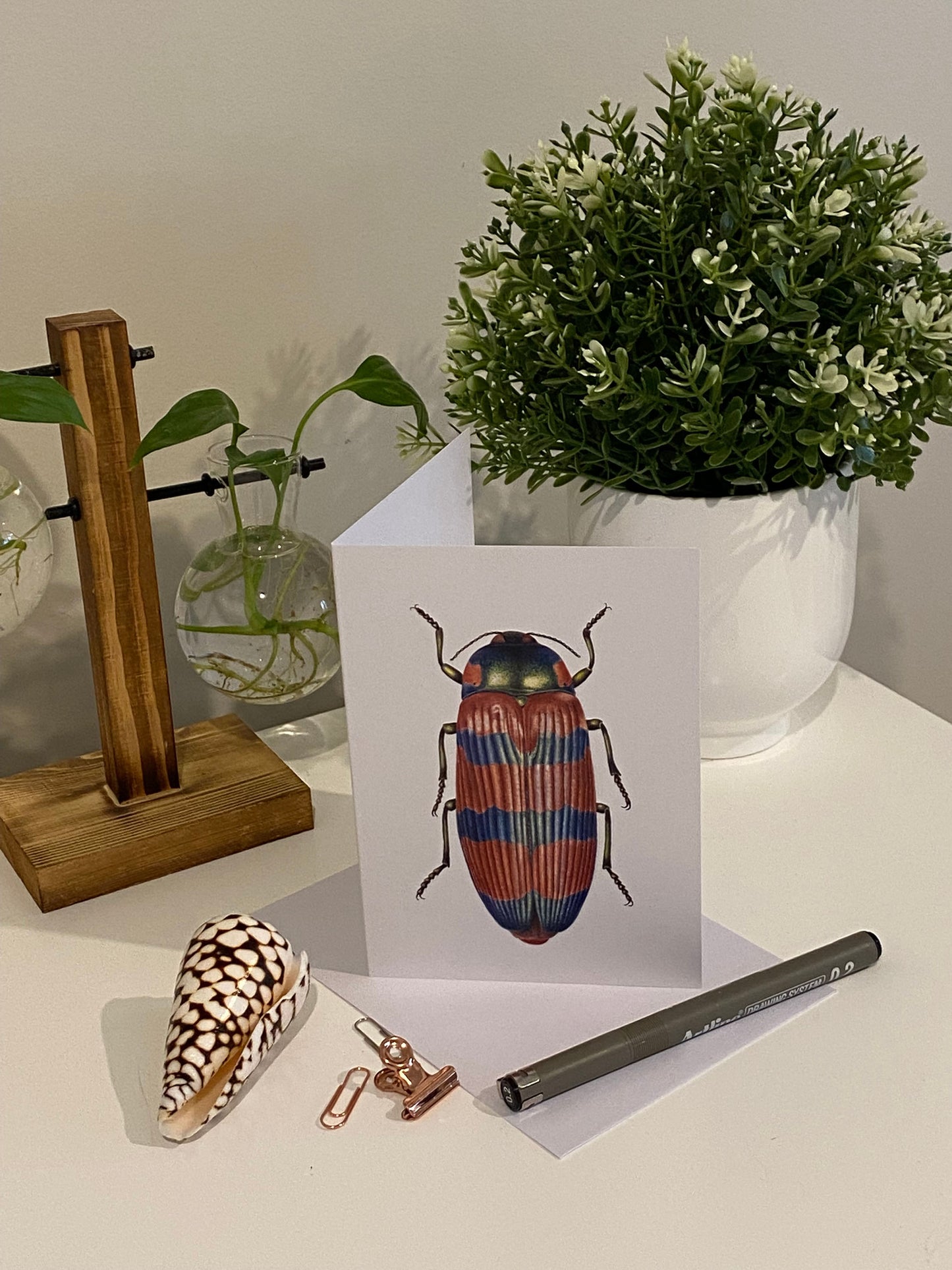 Jewel Beetle Greeting Card