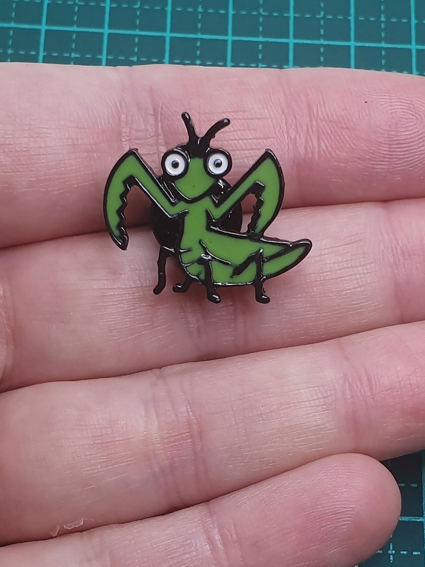 Mantis and Grasshopper Together pin