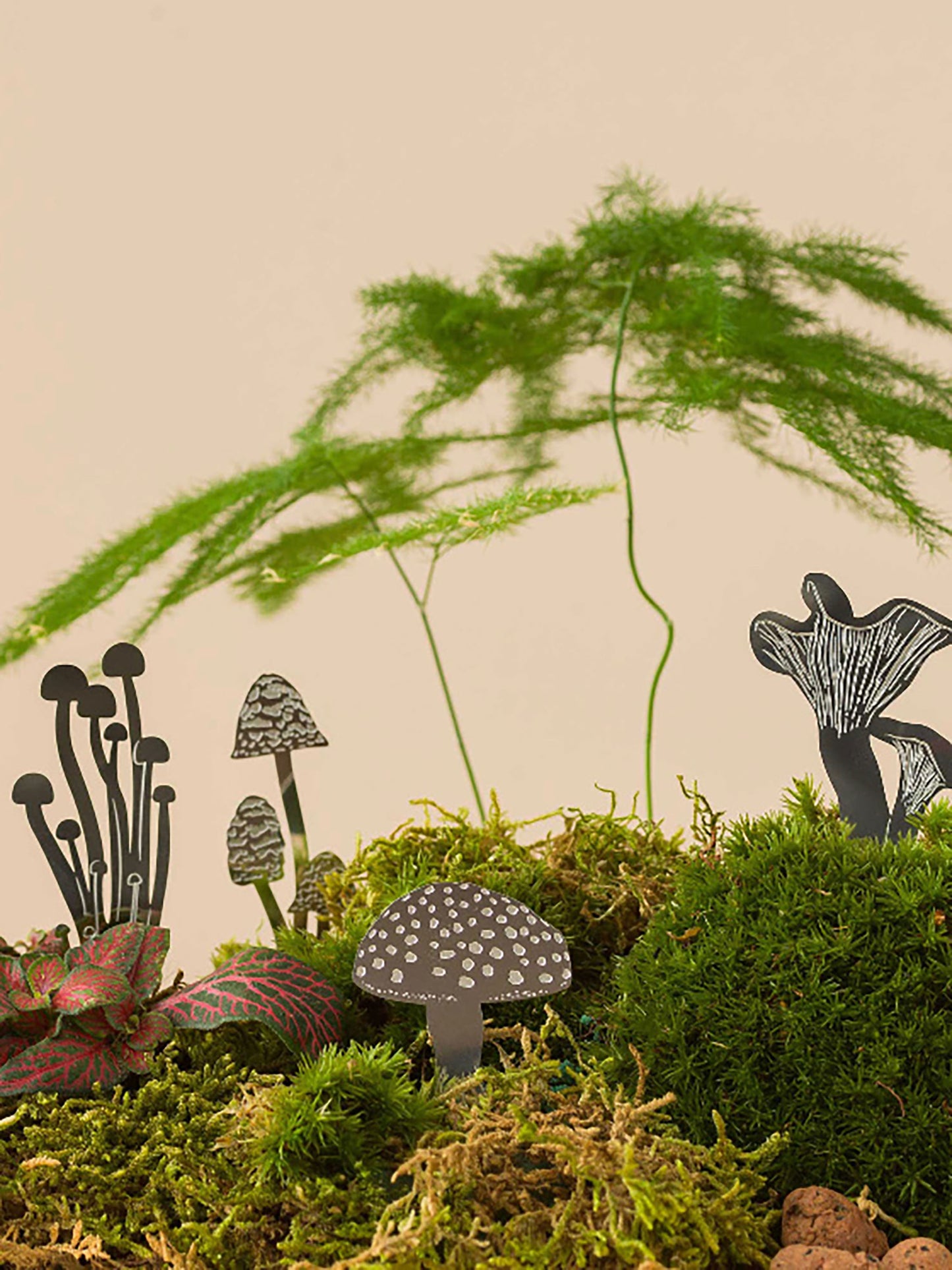Mini Mushroom Terrarium Decoration