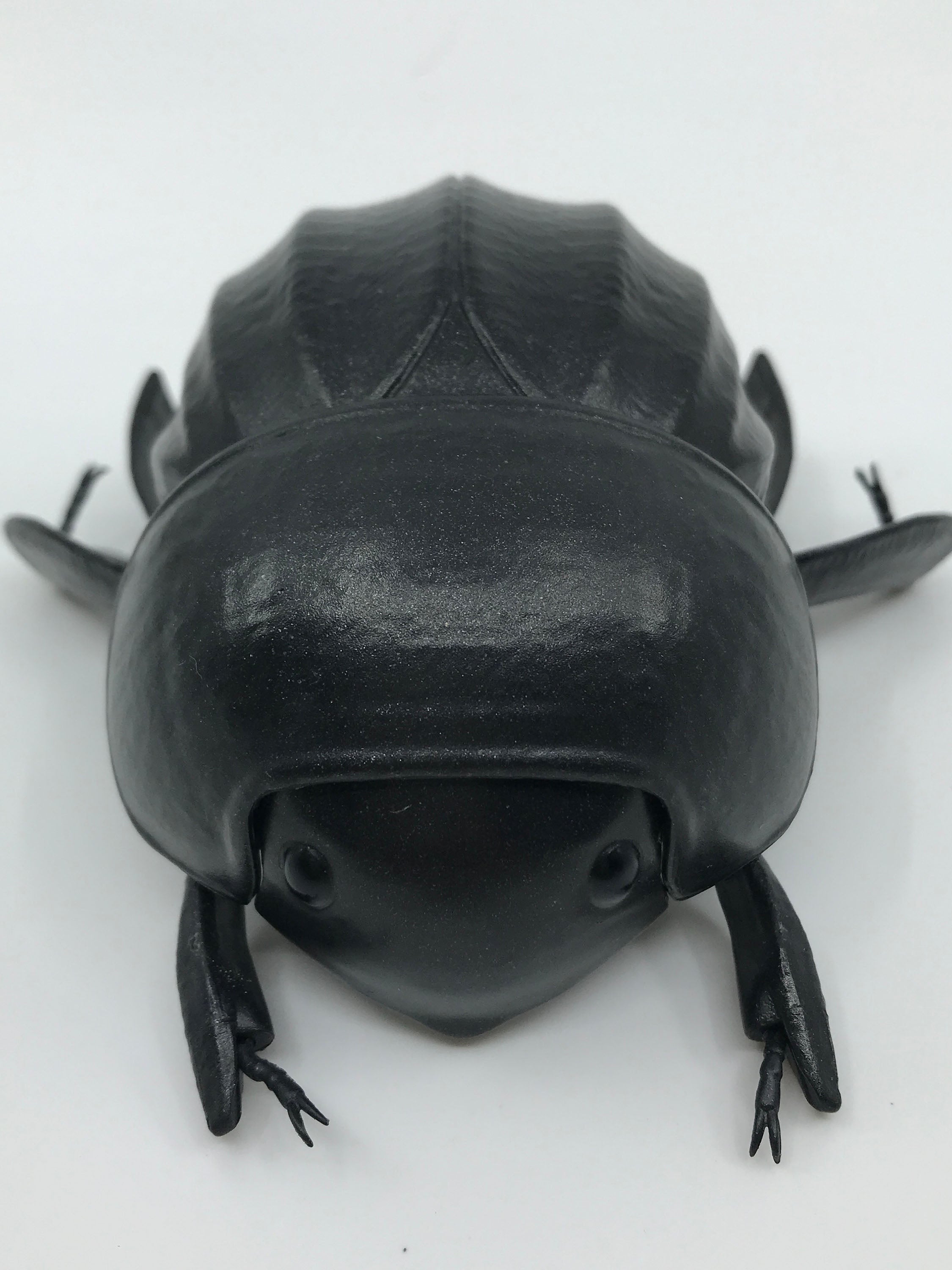 Dung sales beetle toy