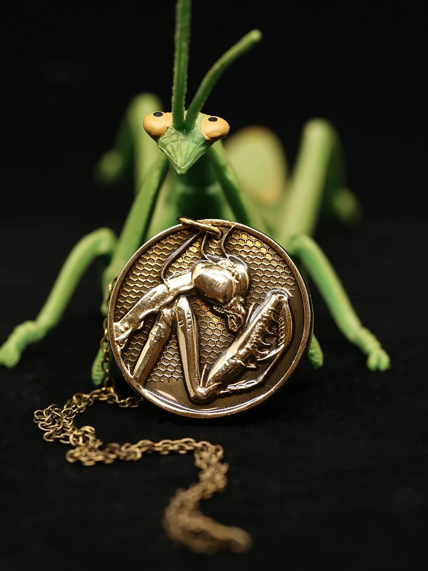 Praying Mantis Medallion