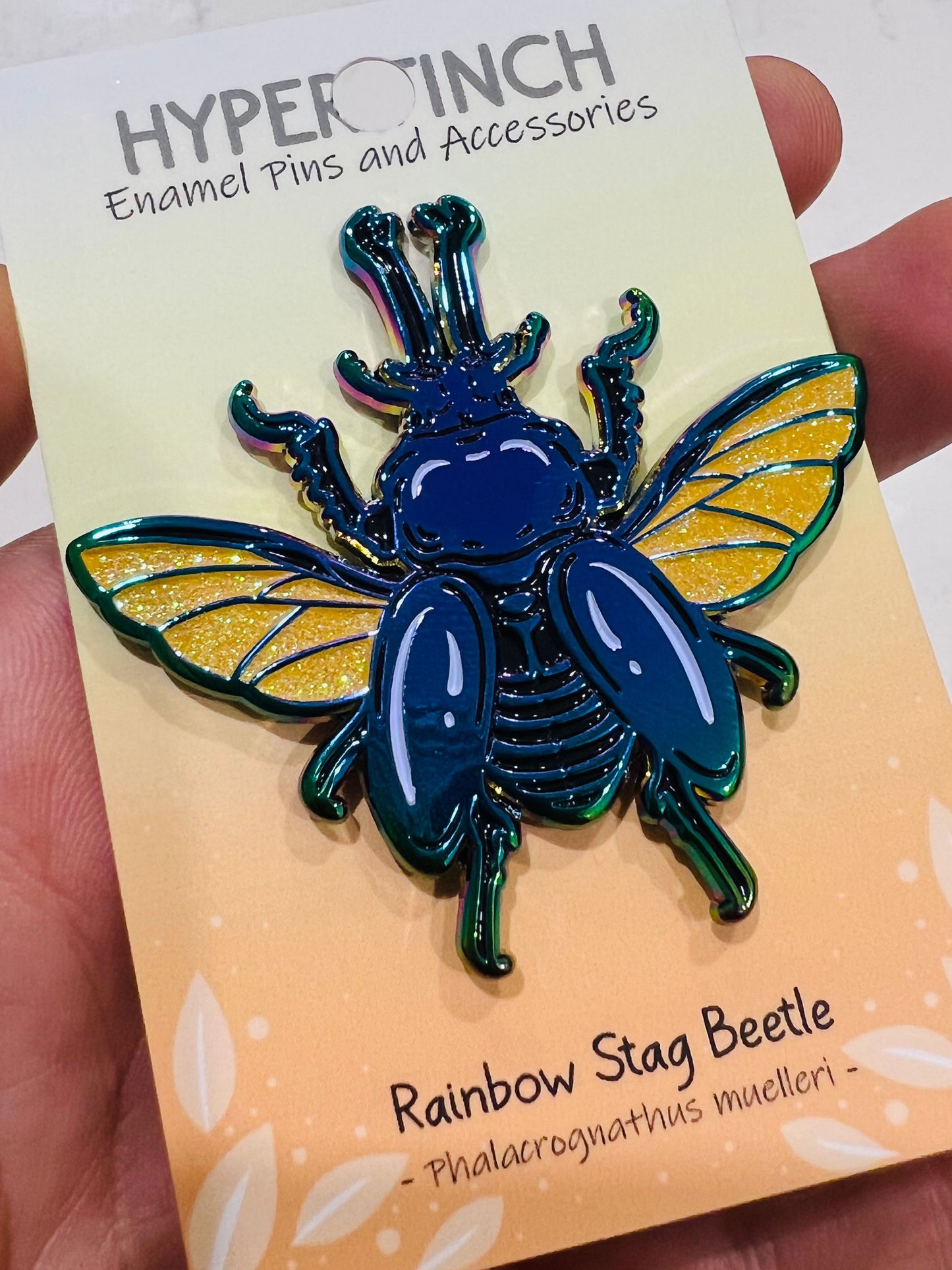 Rainbow Stag Beetle Pin