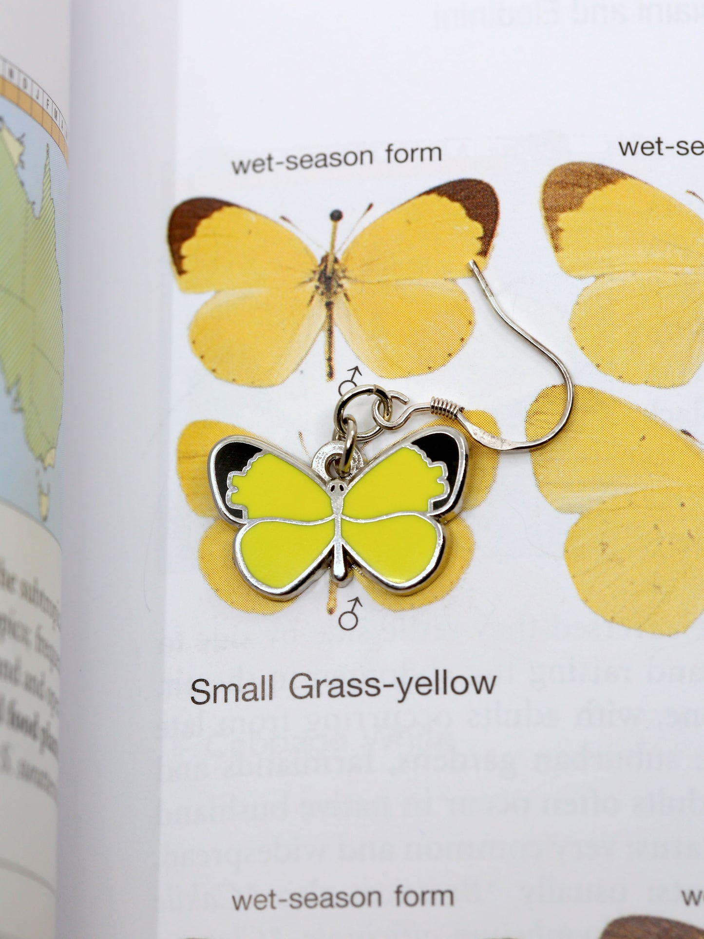 Small Grass - Yellow Butterfly Earrings - Sterling Silver