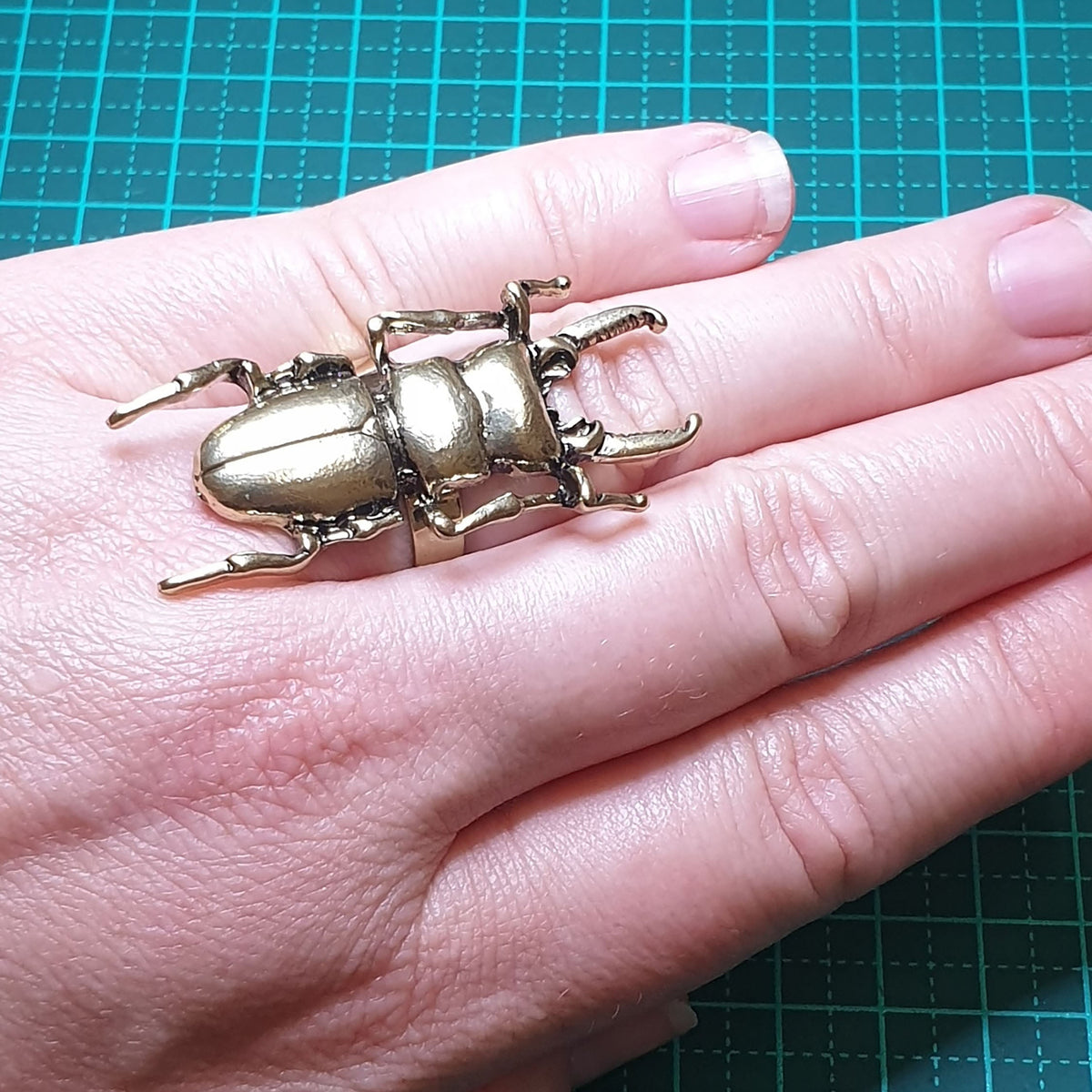 Beetle Shell Ring Stag Beetle Ring - Adjustable – Bugs and Beads
