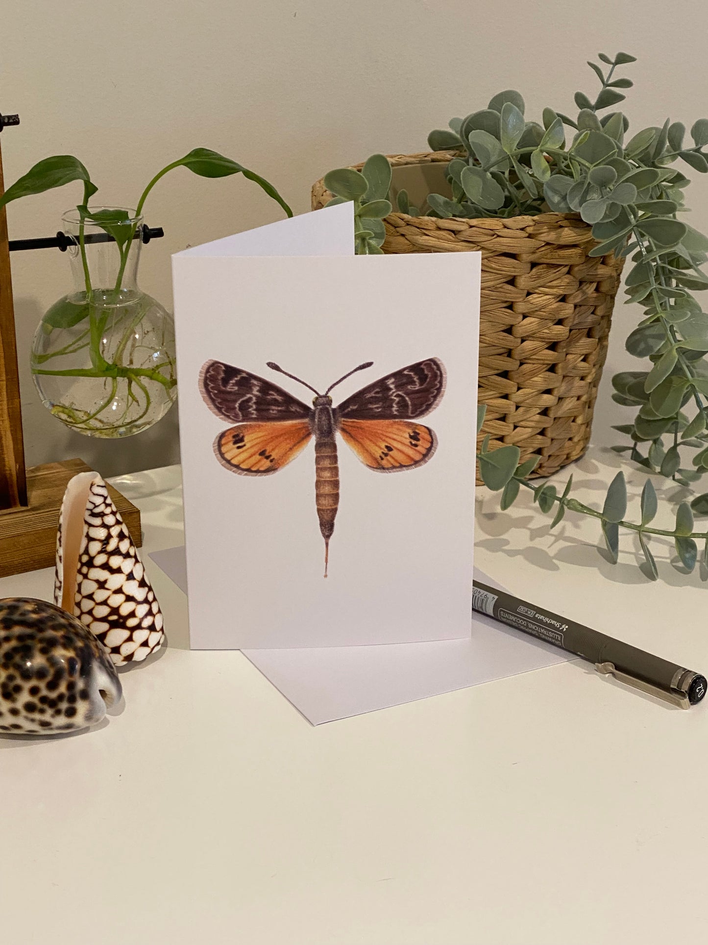 Golden Sun Moth Greeting Card
