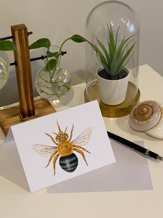 Blue Banded Bee Greeting Card