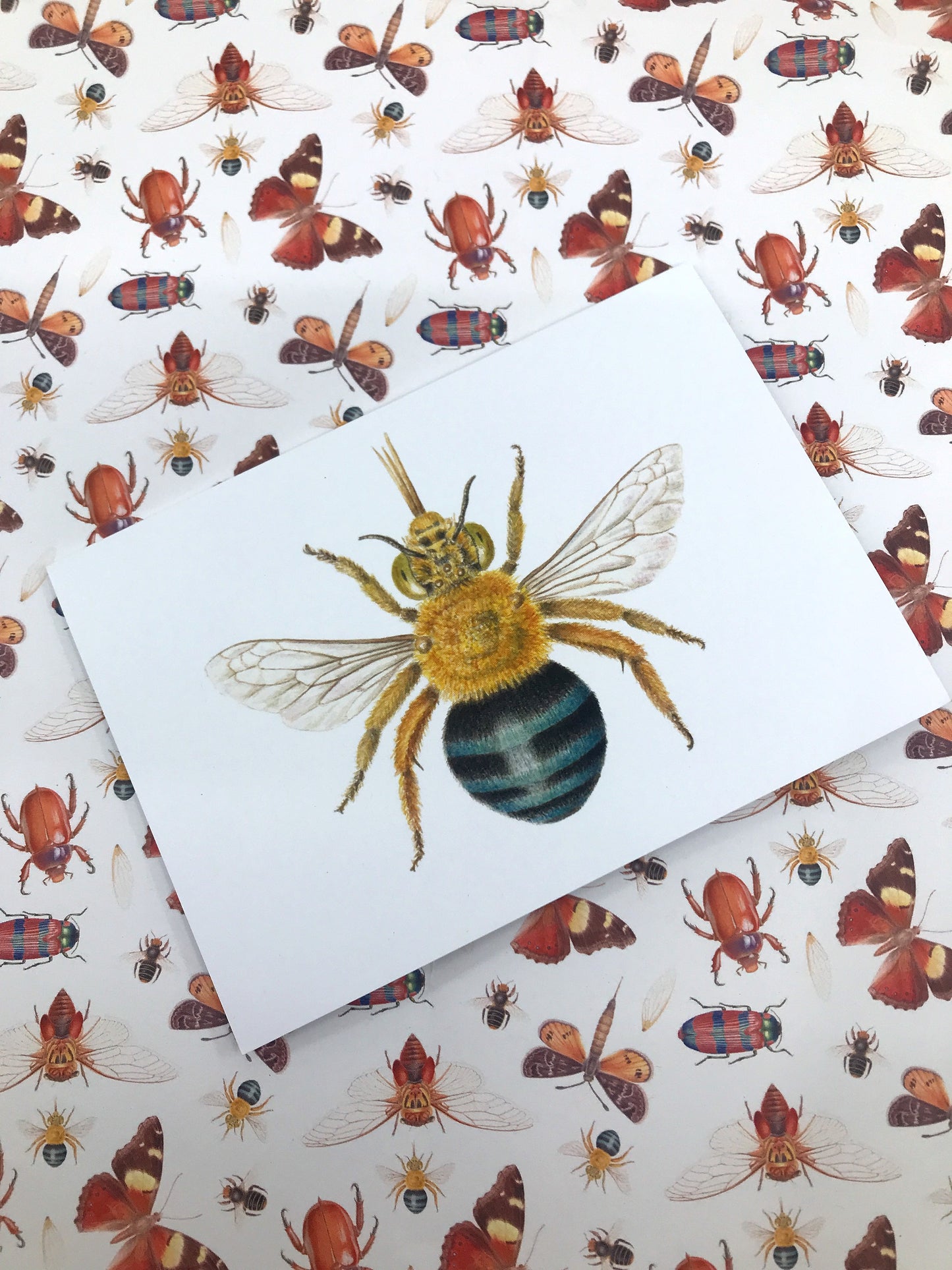 Blue Banded Bee Greeting Card