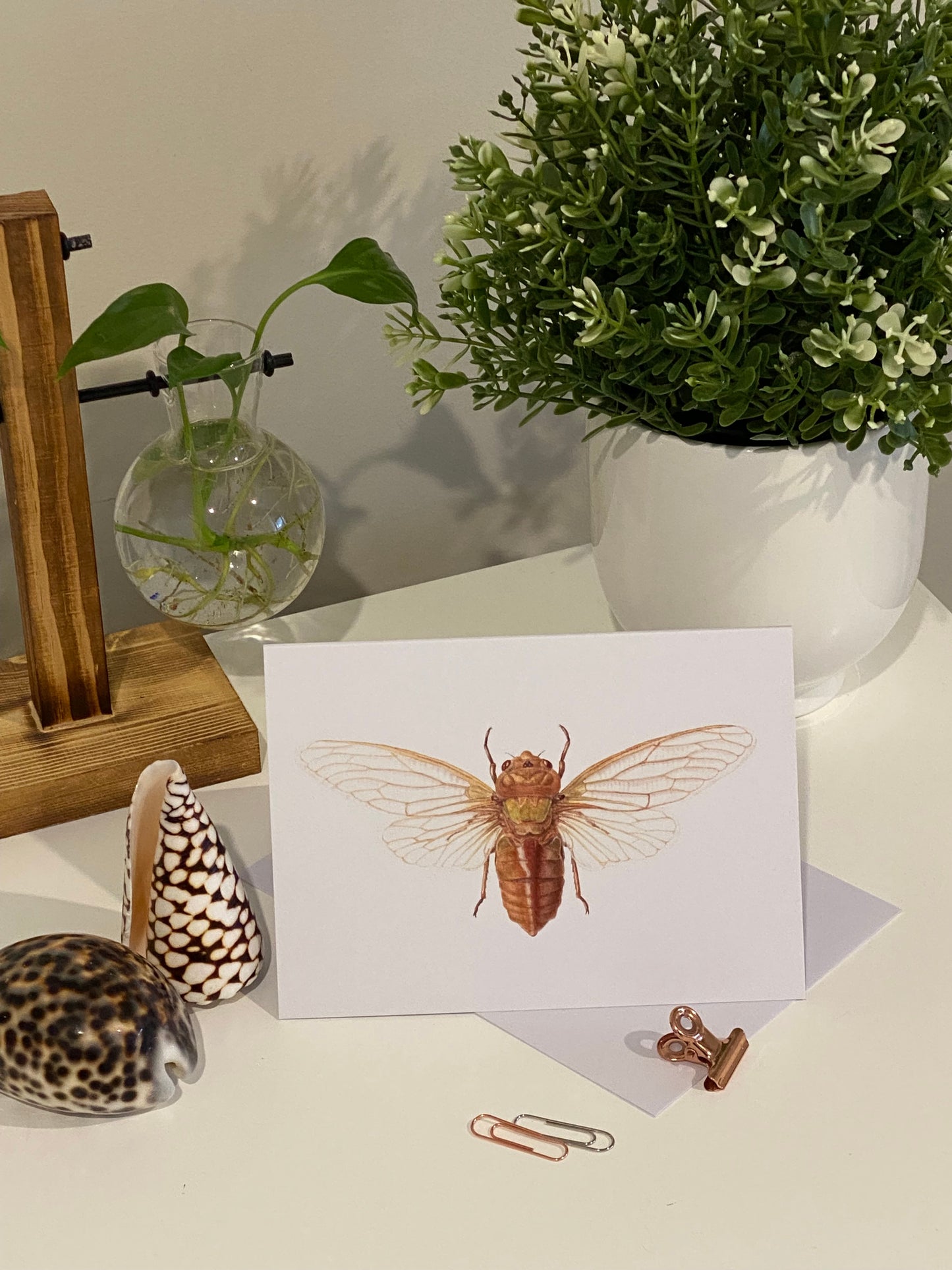 Yellow Monday Cicada Greeting Card