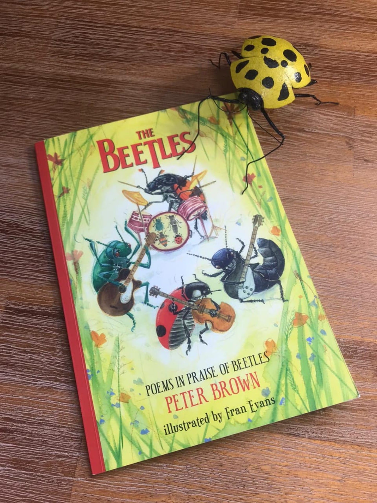 The Beetles: Poems in Praise of Beetles
