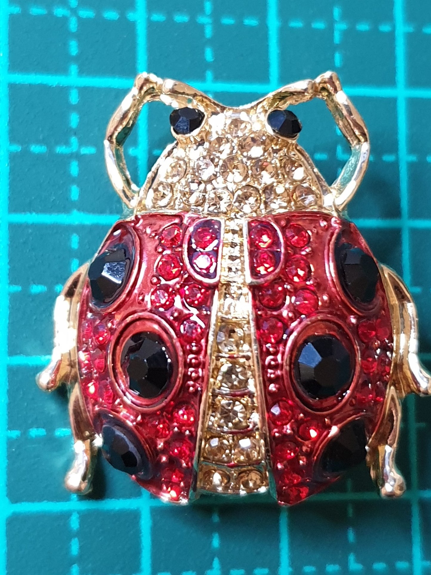 Ladybird Beetle Fashion Brooch