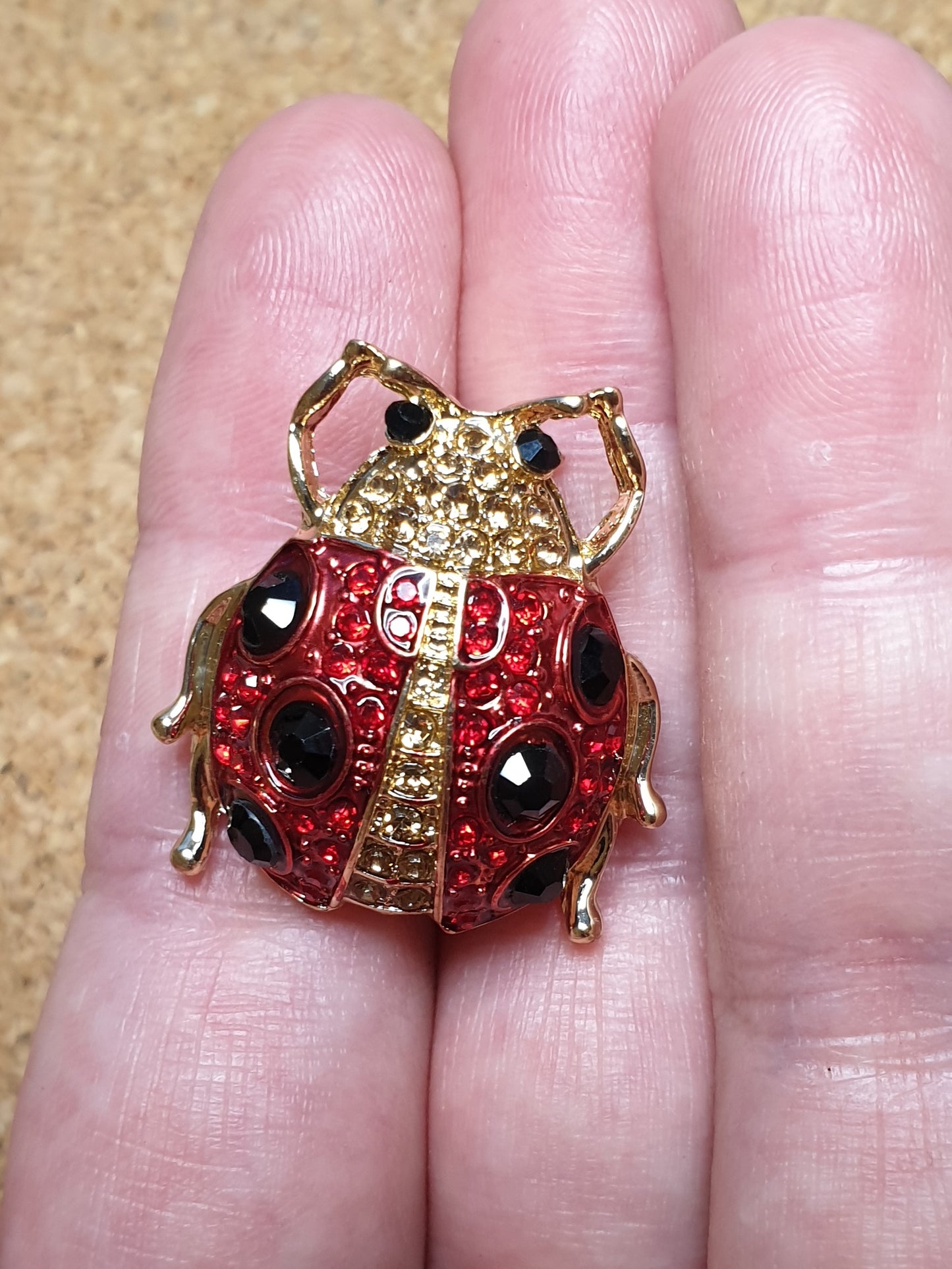 Ladybird Beetle Fashion Brooch