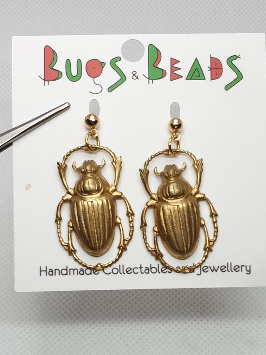 Scarab beetle on studs - Brass & Stainless Steel