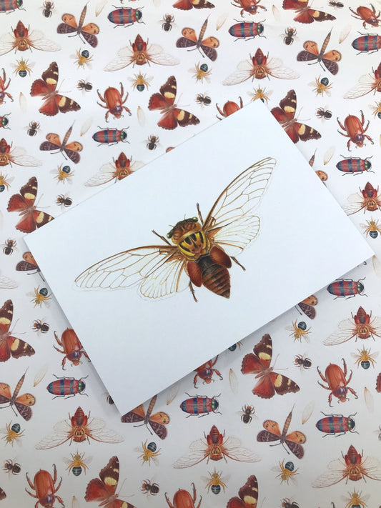 Double Drummer Cicada Greeting Card