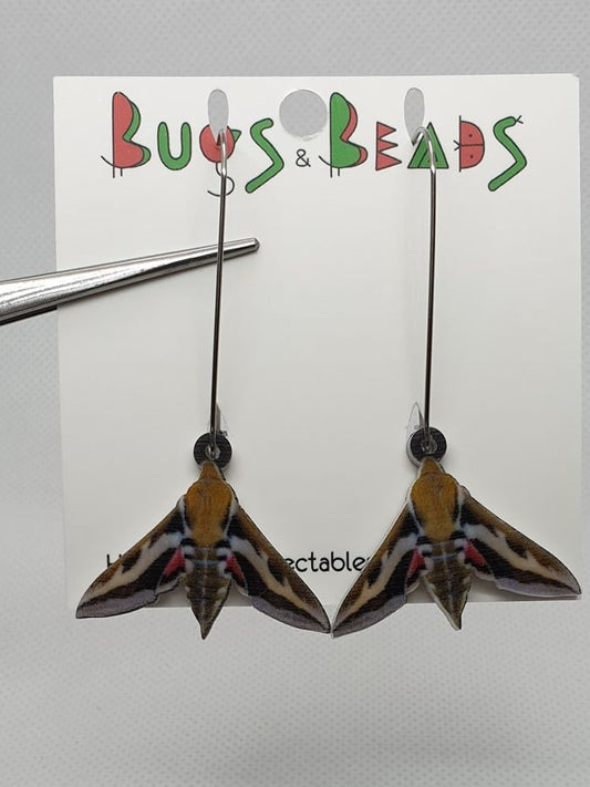 Striped Hawkmoth acrylic earrings