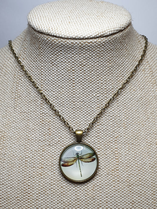 Dragonfly Necklace - Brown Wings