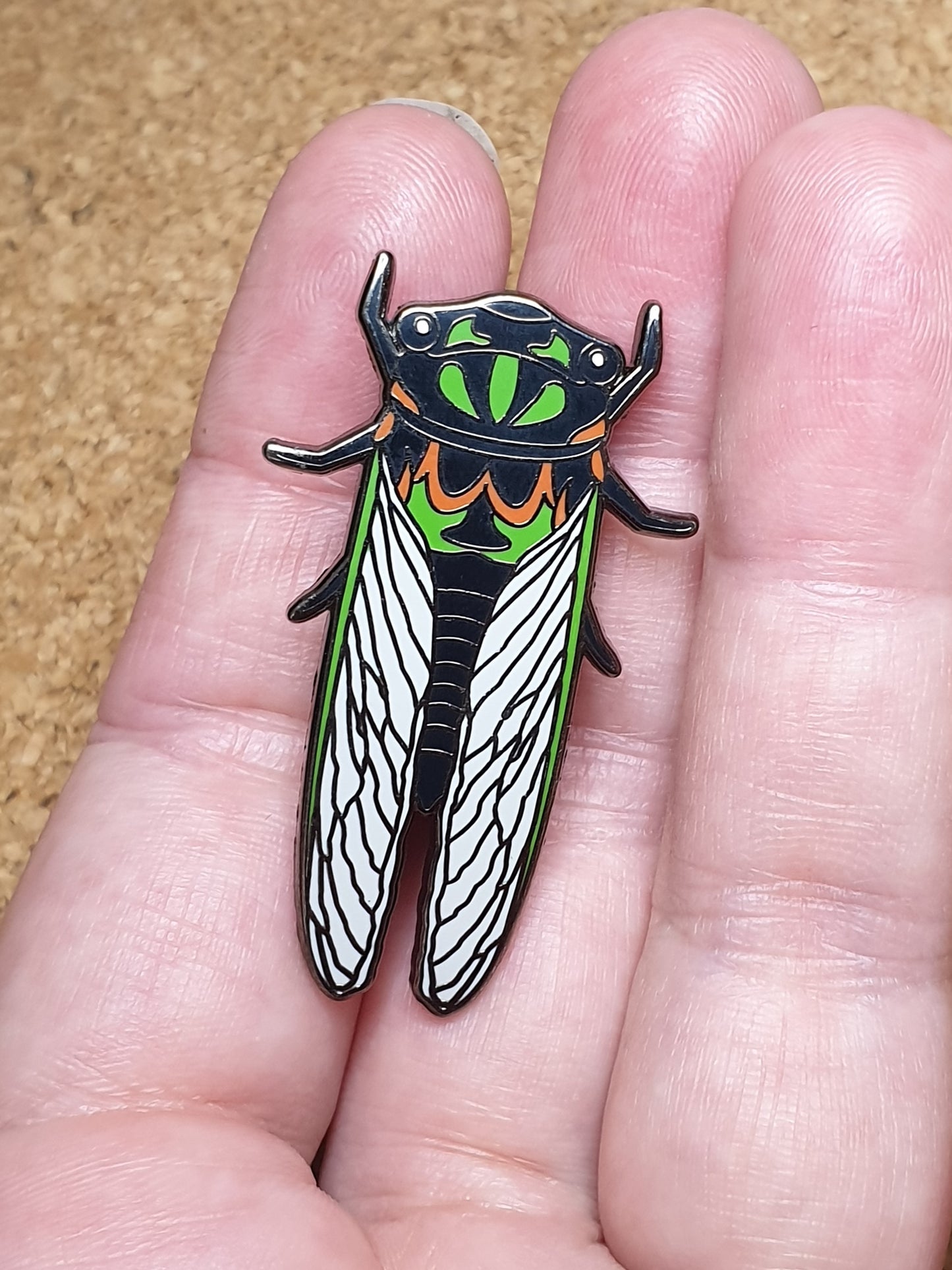 Drummer cicada pin