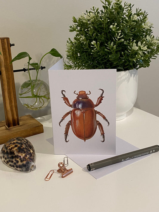 Christmas Beetle Greeting Card