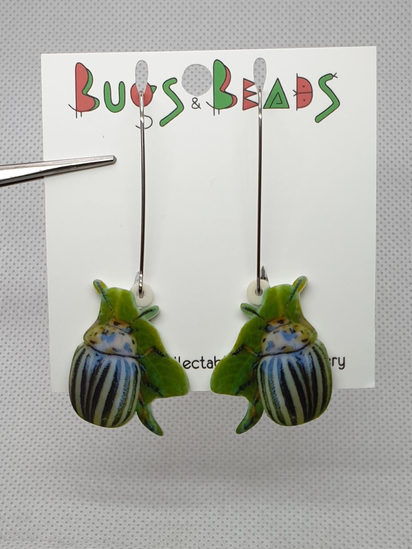 Leptinotarsa beetle (Chrysomelidae) acrylic earrings