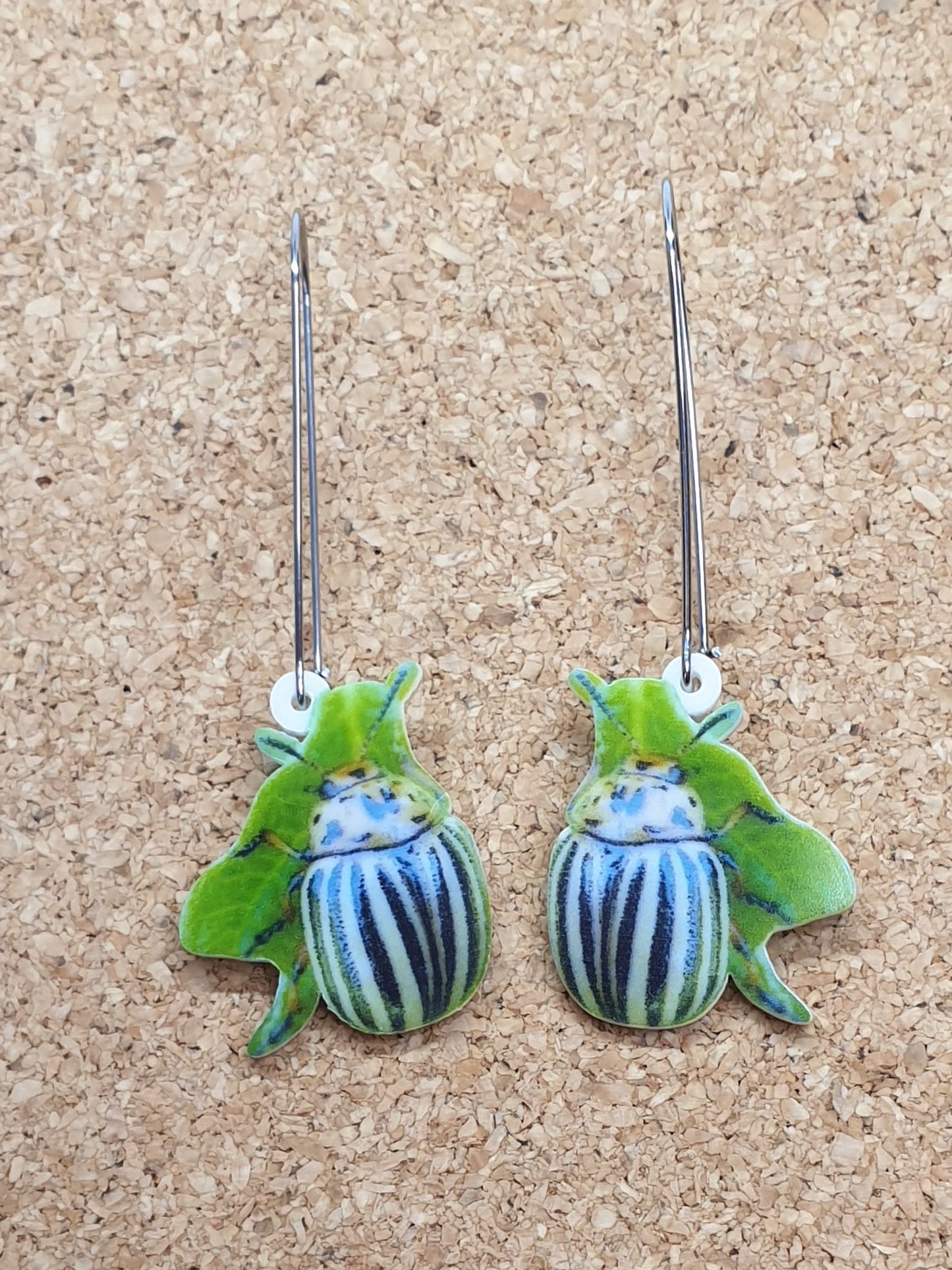 Leptinotarsa beetle (Chrysomelidae) acrylic earrings