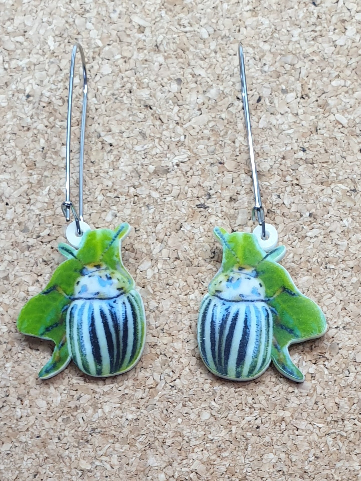 Leptinotarsa beetle (Chrysomelidae) acrylic earrings