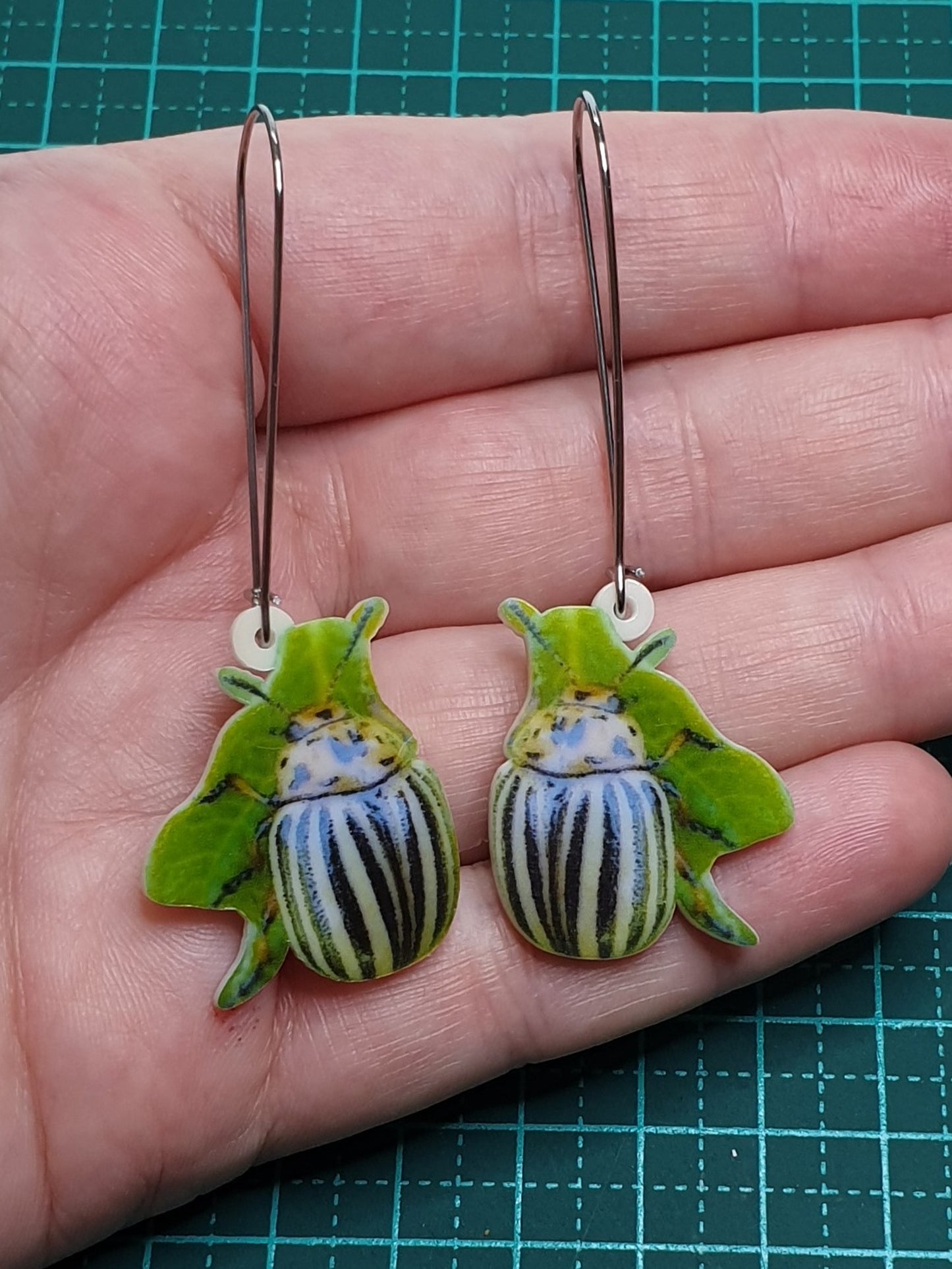 Leptinotarsa beetle (Chrysomelidae) acrylic earrings