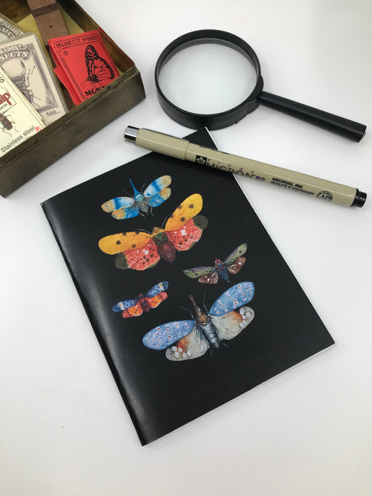 Rainbow leafhopper journal