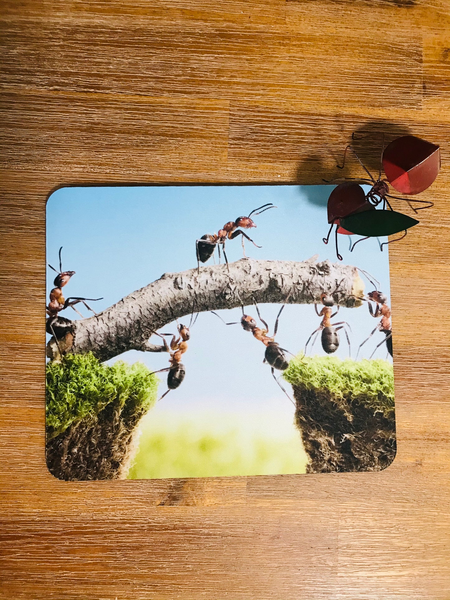 Ants Mouse Pad