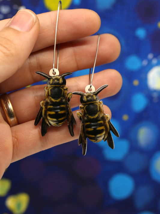Megachilidae Bees Acrylic Earrings