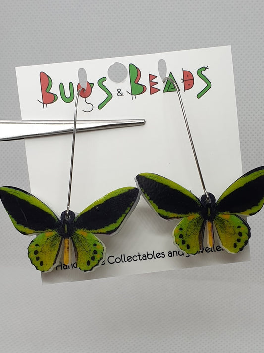 Richmond Birdwing Butterfly acrylic earrings