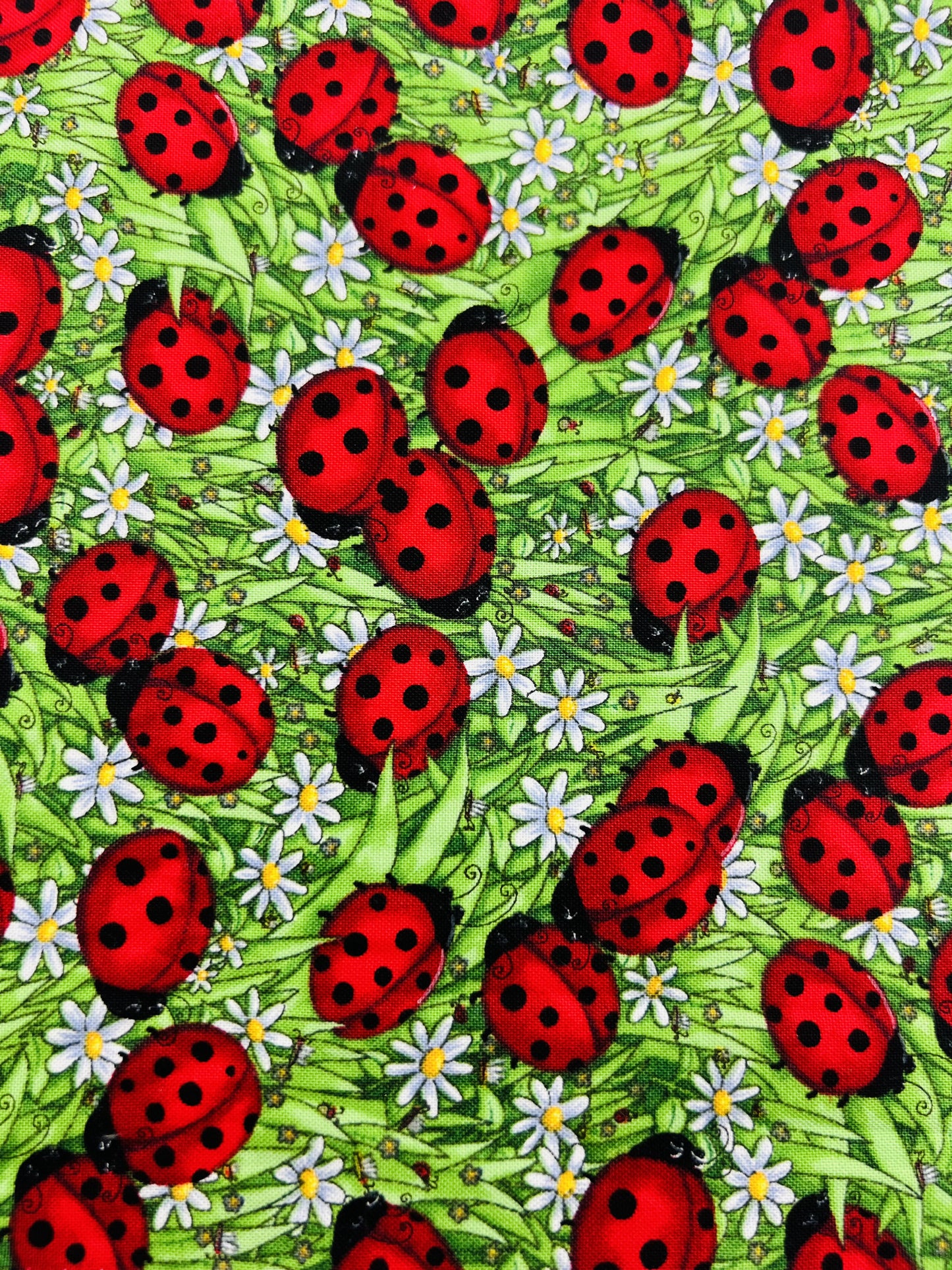 Happy ladybirds Face Mask