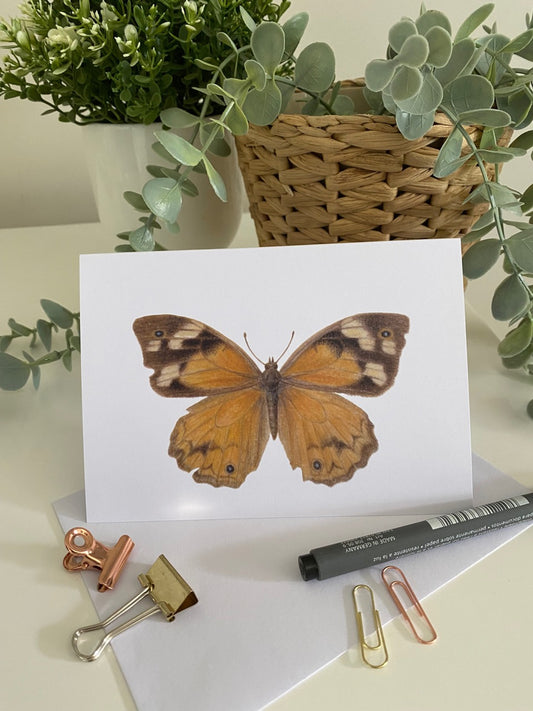 Common brown butterfly Greeting Card