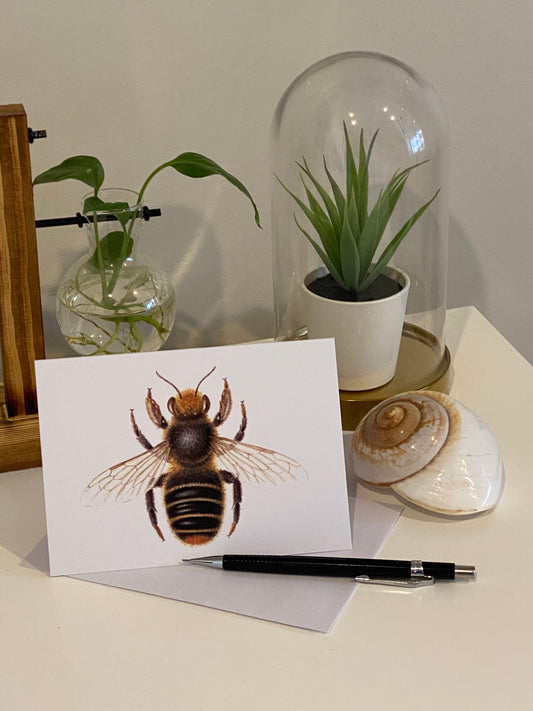 Leafcutter Bee Greeting Card