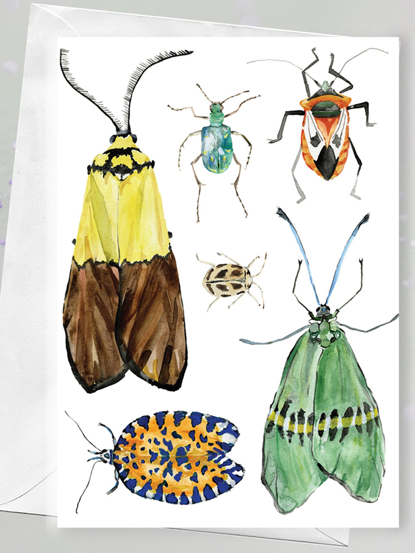 Moth, beetle and bug Greeting Card