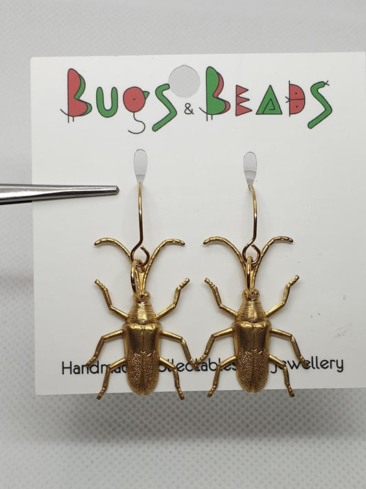 Longhorn - Brass & Stainless Steel